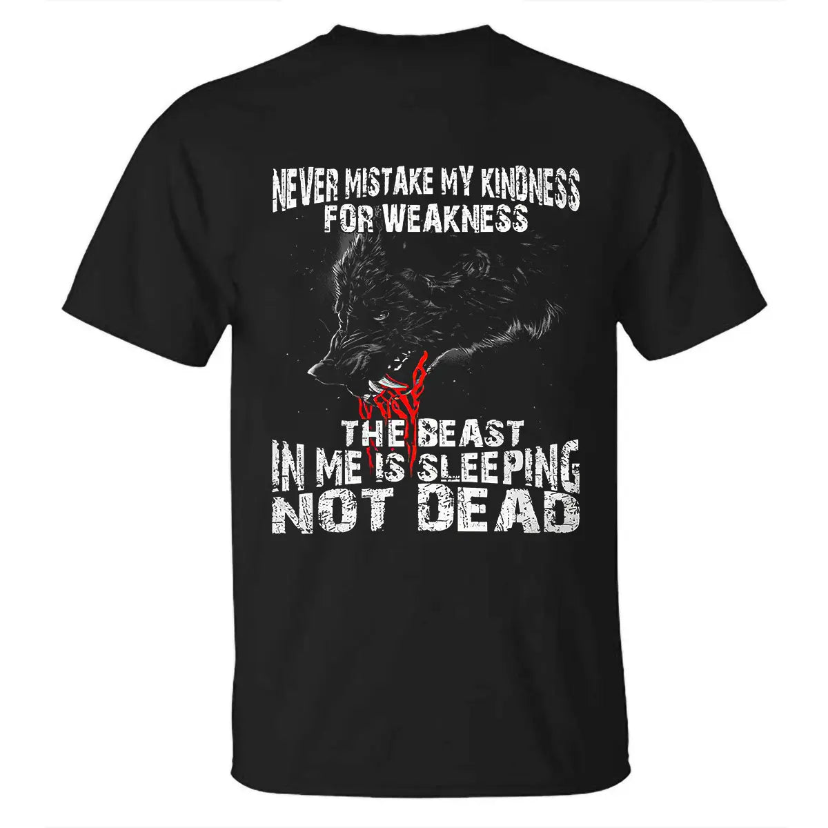 Viking Never Mistake My Kindness For Weakness Printed Men's T-shirt