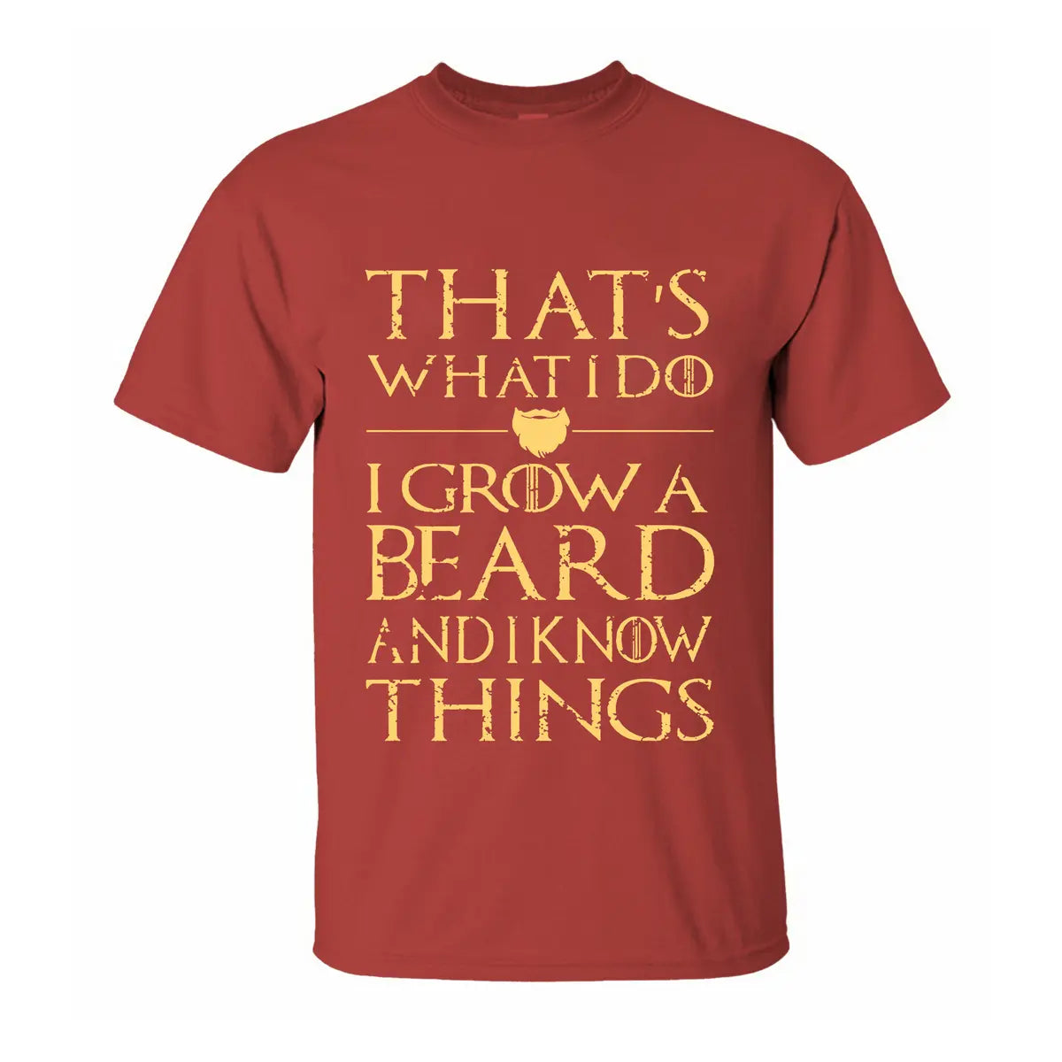 Viking That's What I Do Printed Men's T-shirt Front